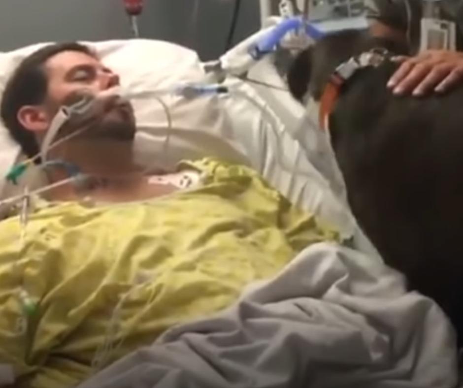 A Dog's Unbreakable Bond: Heartfelt Tale of Love and Loss