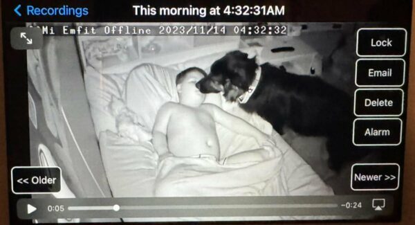 Dog's Secret Nighttime Routine Revealed: A Must-See Act of Love-1