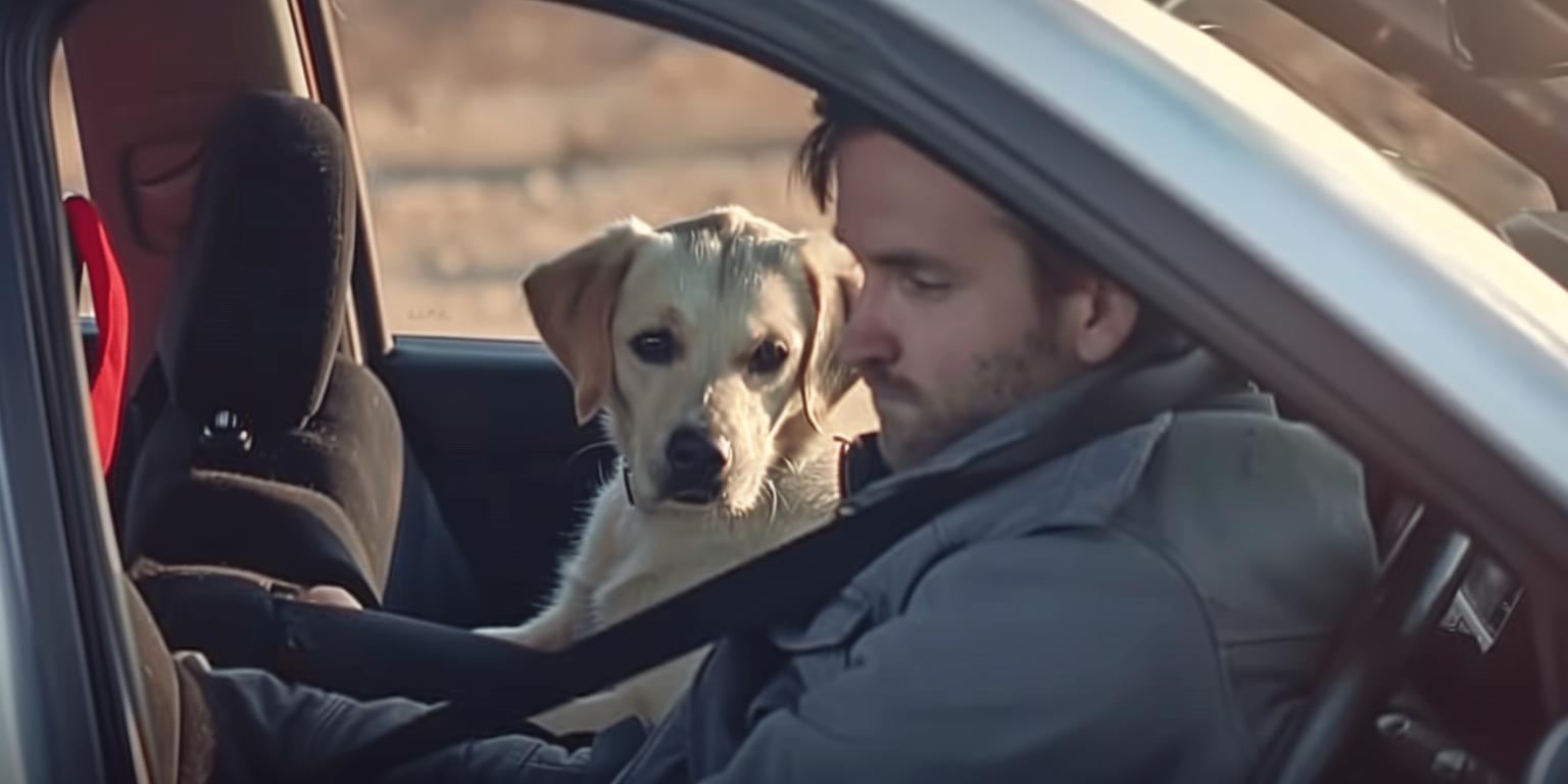 Vincent’s Accidental Car Swap Leads to Unexpected Friendship with a Charming Puppy