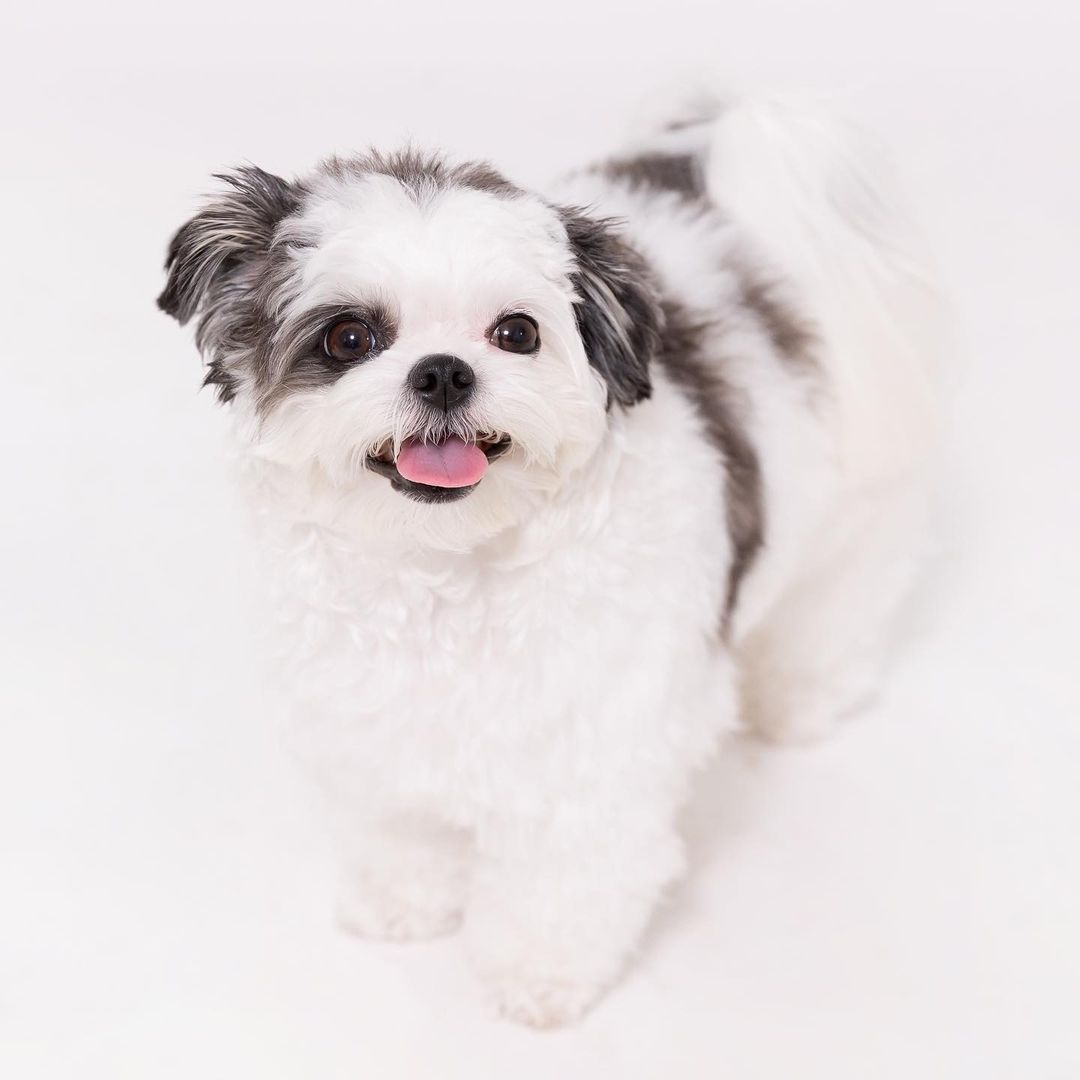 Woman's Midnight Encounter What She Saw Will Leave You Speechless