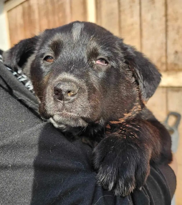 You Won't Believe What This Woman Discovered Hiding In Her Yard