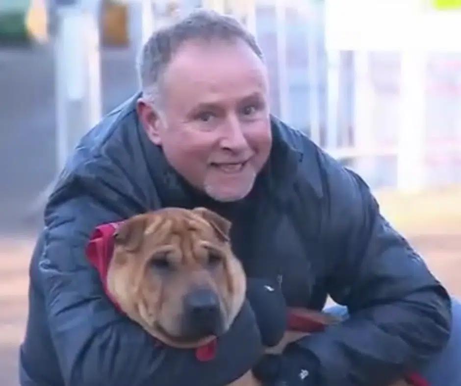 Dog Found Abandoned with Suitcase at Train Station Gets an Unbelievable ...