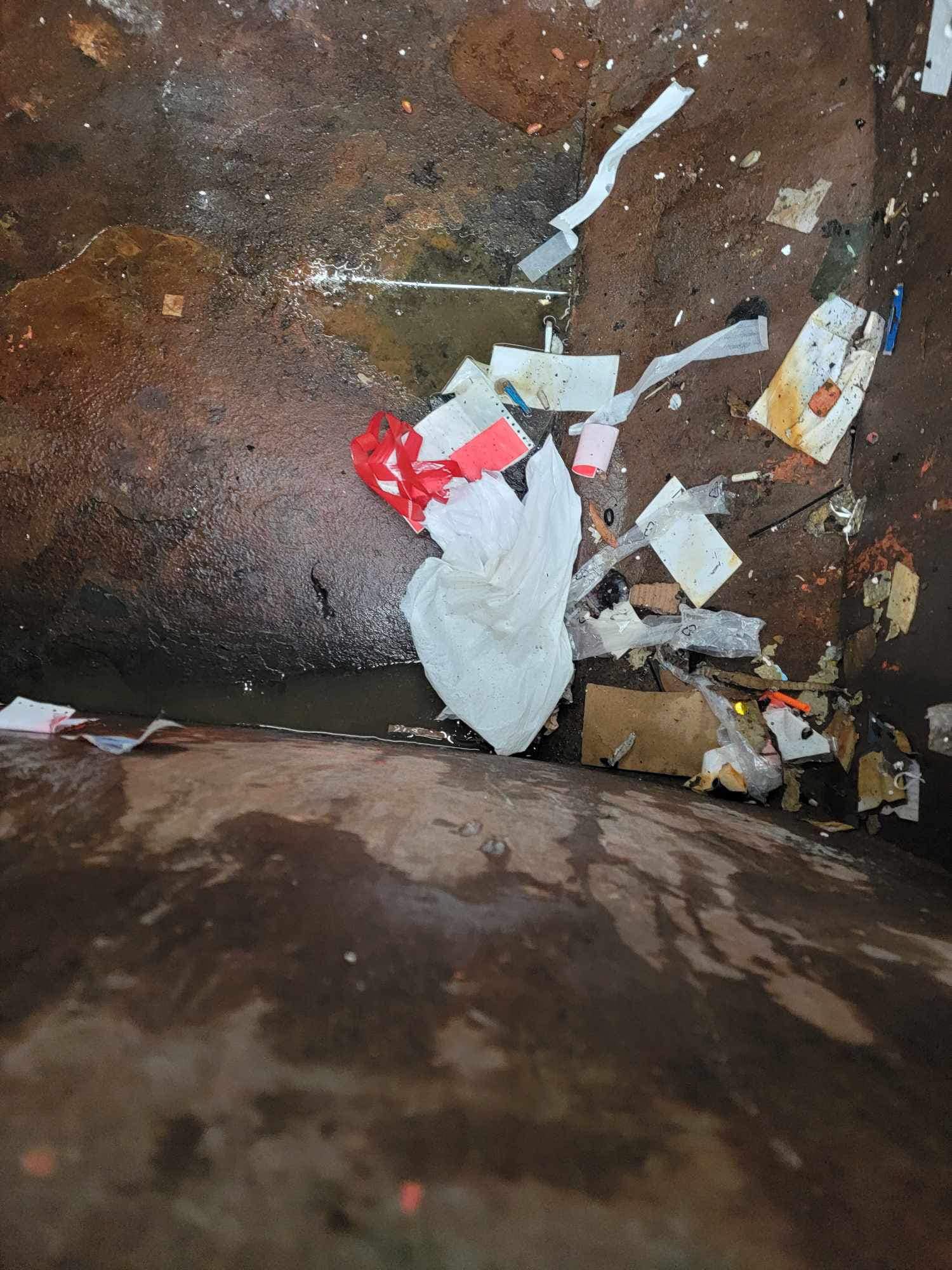 Rescuers Make Startling Discovery Inside Dumpster—You Won't Believe