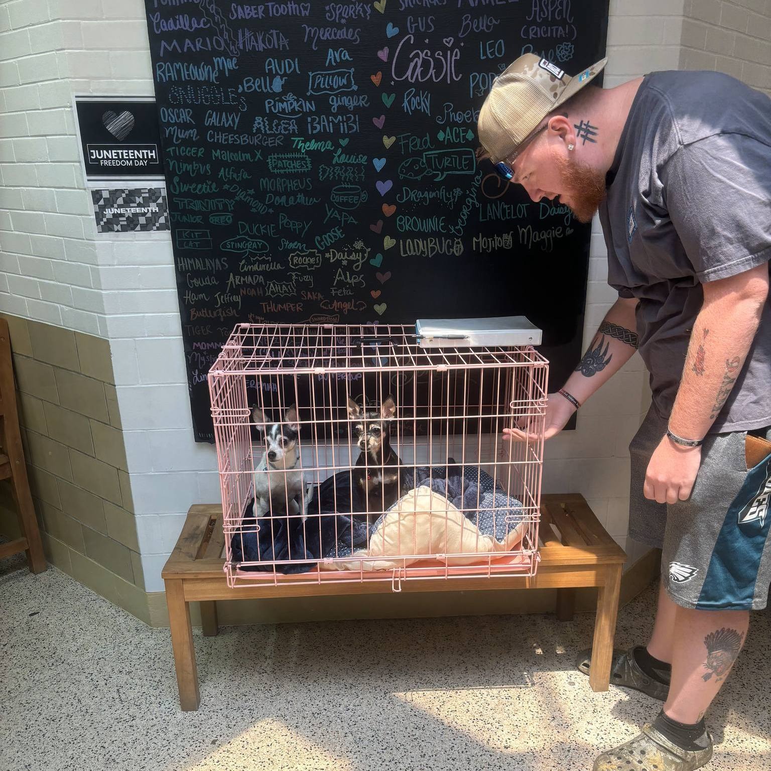 Rescuers Discover Heartbreaking Note With Two Abandoned Dogs Outside ...