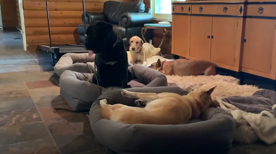 The Astonishing Moment a Hiker's Discovery Changed Everything