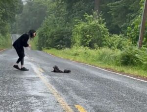 Woman's Roadside Rescue: The Unexpected Twist That Will Melt Your Heart