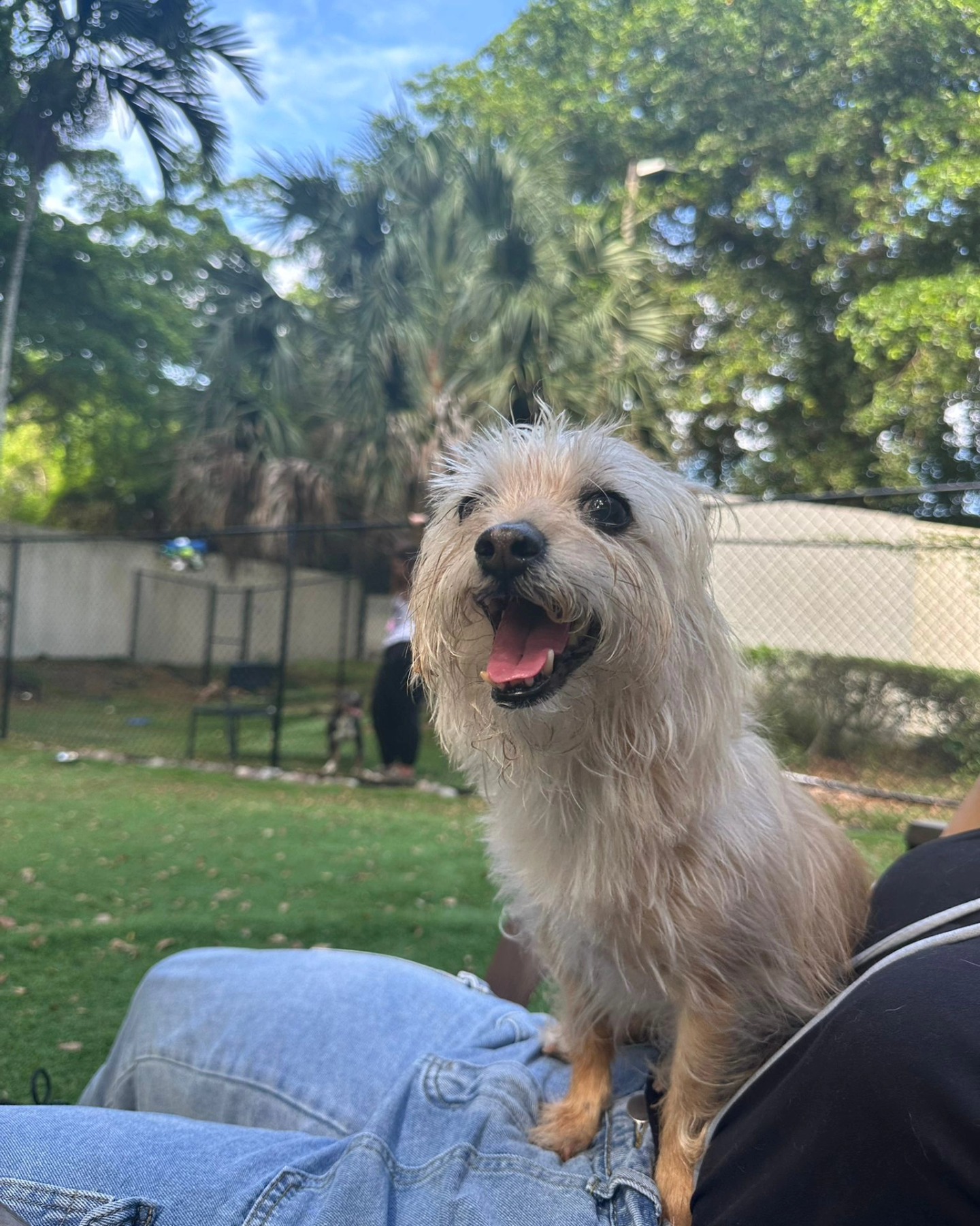 Cancer: Ariana Grande's Heartbreaking Revelation Will Leave You Speechless.