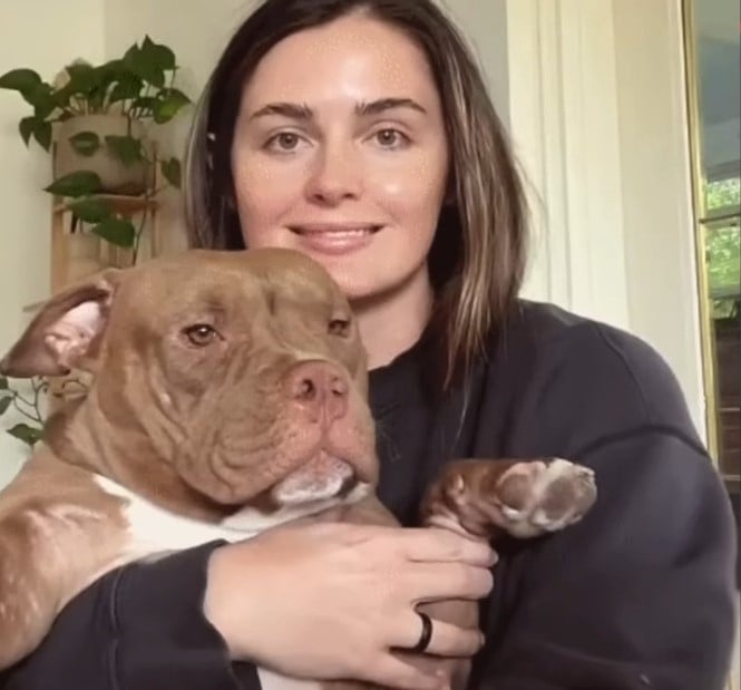 From Despair to Joy: The Unforgettable Journey of a Neglected Dog