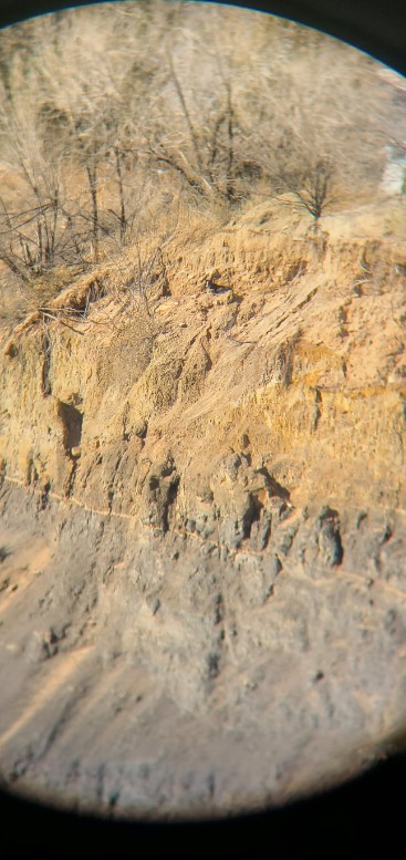 Unbelievable Discovery: What This Elderly Man Spotted on the Cliff Will Amaze You!-1